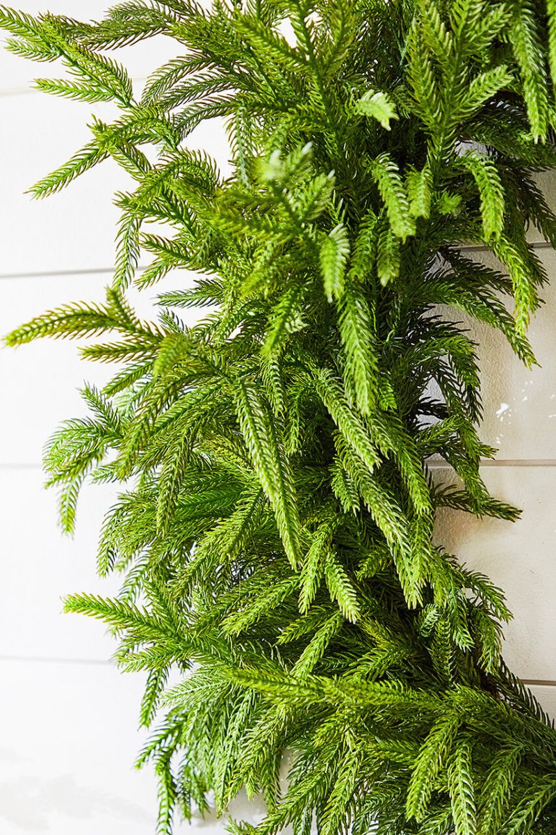 30'' Real Touch Norfolk Pine Christmas Wreath - Napa Valley Wildflower Co.