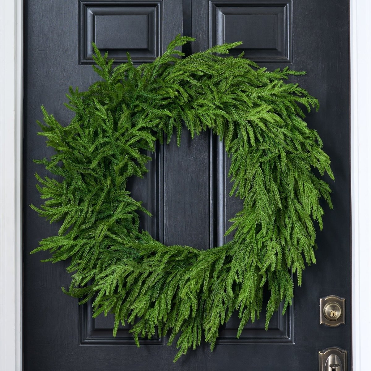 30'' Real Touch Norfolk Pine Christmas Wreath - Napa Valley Wildflower Co.
