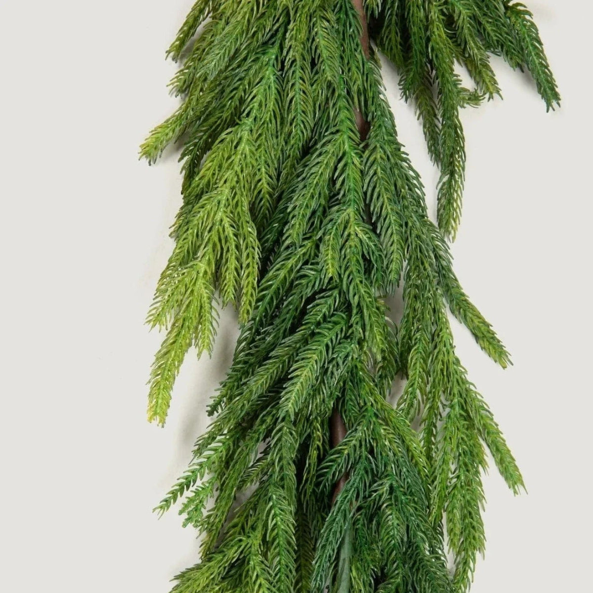 60'' Lush Natural Touch Norfolk Pine Garland - A Christmas Masterpiece - Napa Valley Wildflower Co.