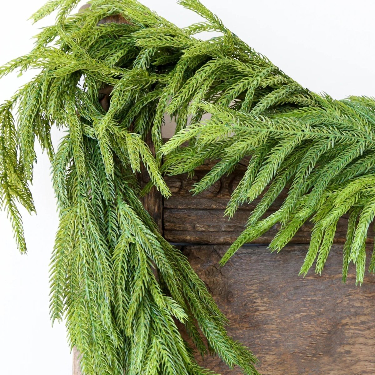 60'' Lush Natural Touch Norfolk Pine Garland - A Christmas Masterpiece - Napa Valley Wildflower Co.