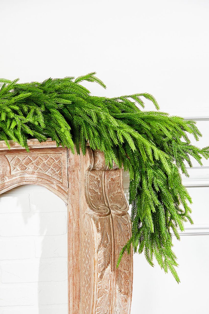 60'' Lush Natural Touch Norfolk Pine Garland - A Christmas Masterpiece - Napa Valley Wildflower Co.