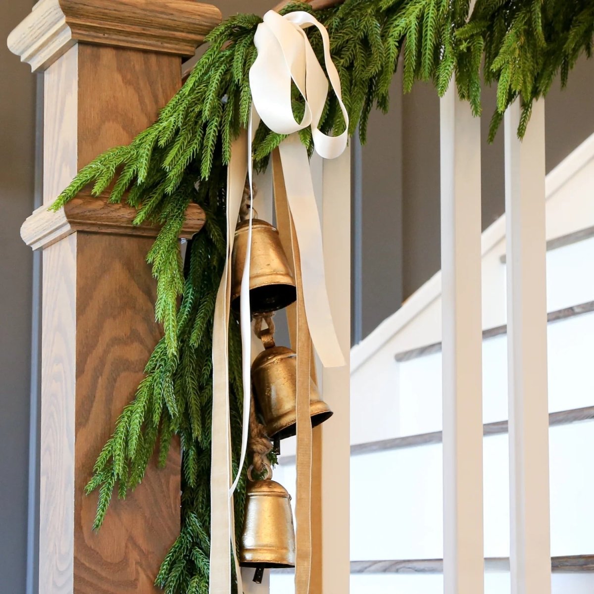 60'' Lush Natural Touch Norfolk Pine Garland - A Christmas Masterpiece - Napa Valley Wildflower Co.