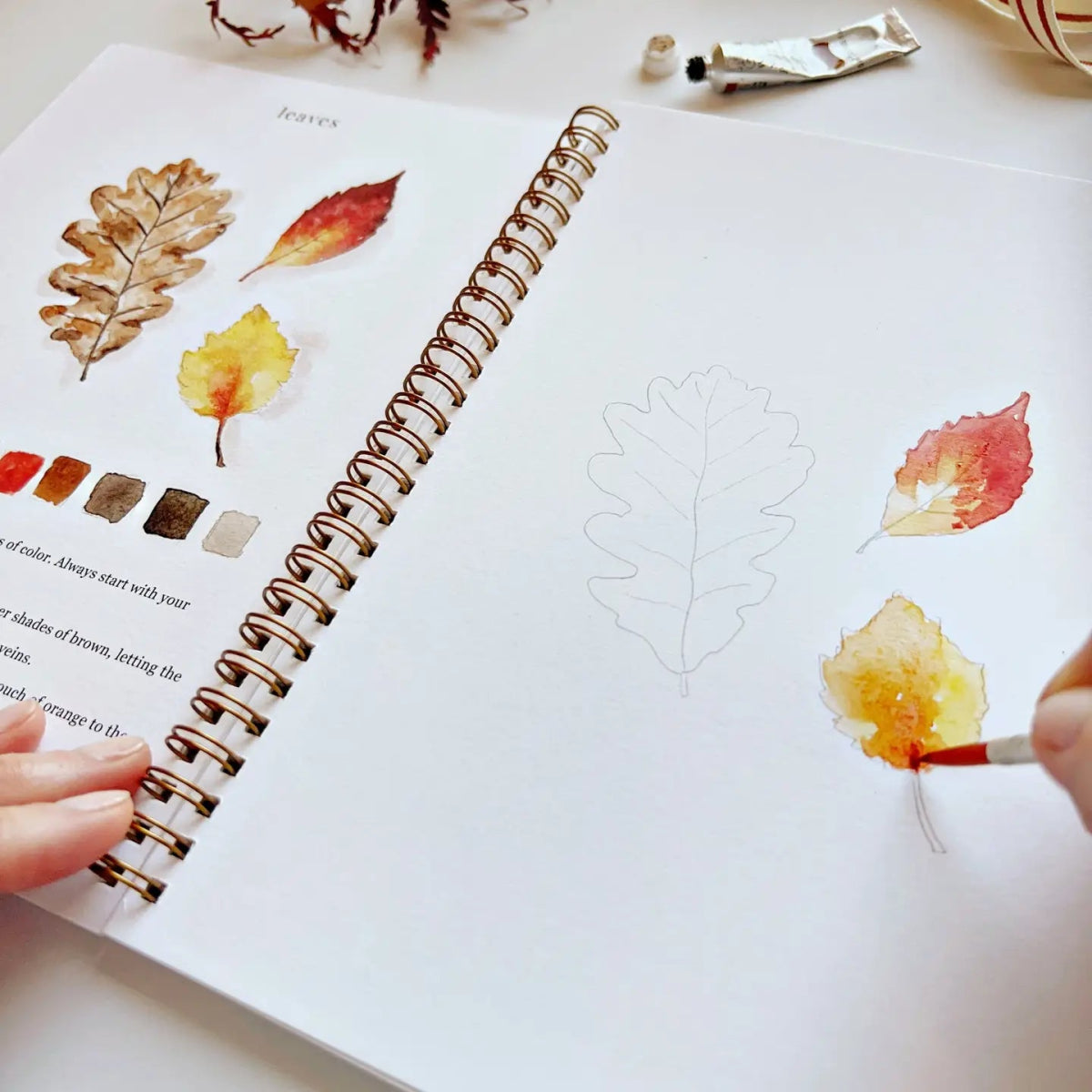 Autumn Watercolor Workbook - Napa Valley Wildflower Co.
