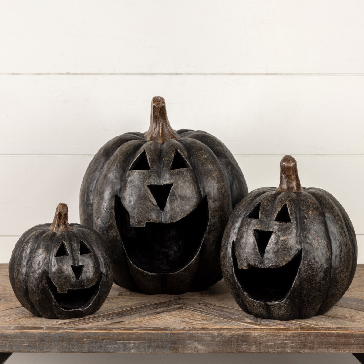 Black Big Mouth Pumpkins - Napa Valley Wildflower Co.