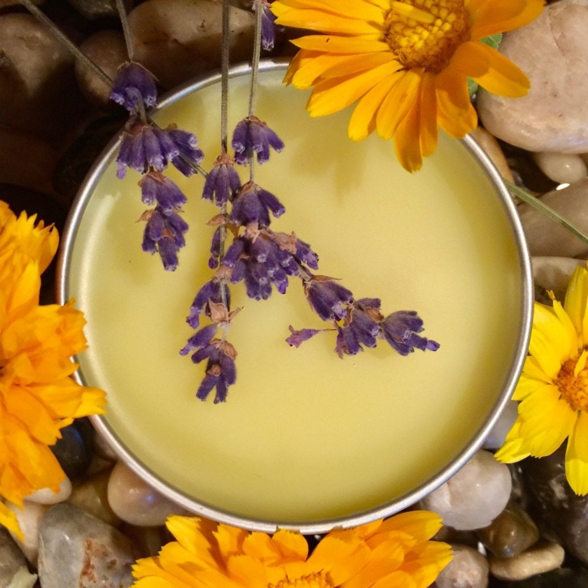 Calendula Lavender Salve - Soothing All Natural Skin - Napa Valley Wildflower Co.