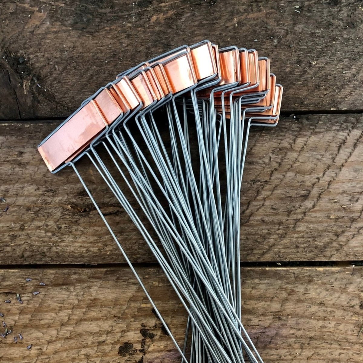 Copper and Galvanized Steel Garden Markers (Set of 30) - Napa Valley Wildflower Co.