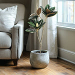 Elegant 31 - Inch Potted Faux Magnolia Tree - Napa Valley Wildflower Co.