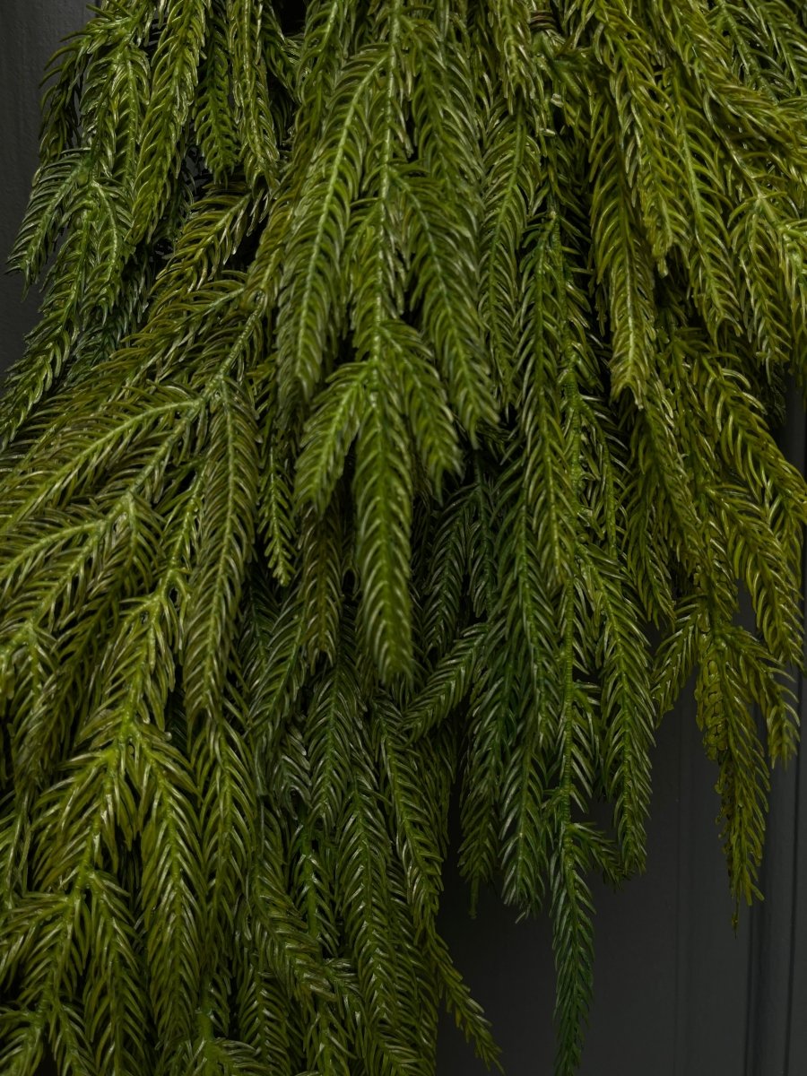 Faux Norfolk Pine Wreath with Dark Brown Velvet Bow - Napa Valley Wildflower Co.
