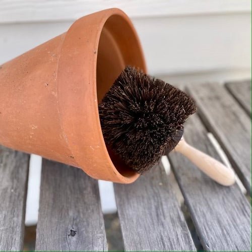 Flower Pot Cleaning Brush - Napa Valley Wildflower Co.