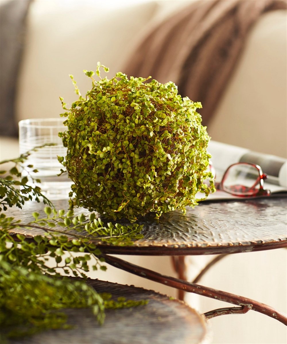 Green Moss Orb Decorative Accent - Napa Valley Wildflower Co.