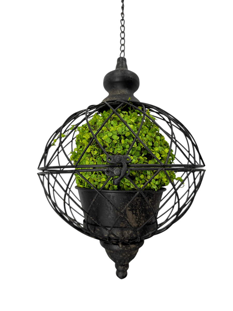 Green Moss Orb Decorative Accent - Napa Valley Wildflower Co.