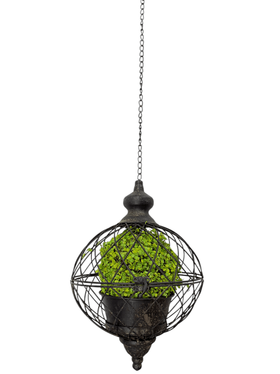 Green Moss Orb Decorative Accent - Napa Valley Wildflower Co.
