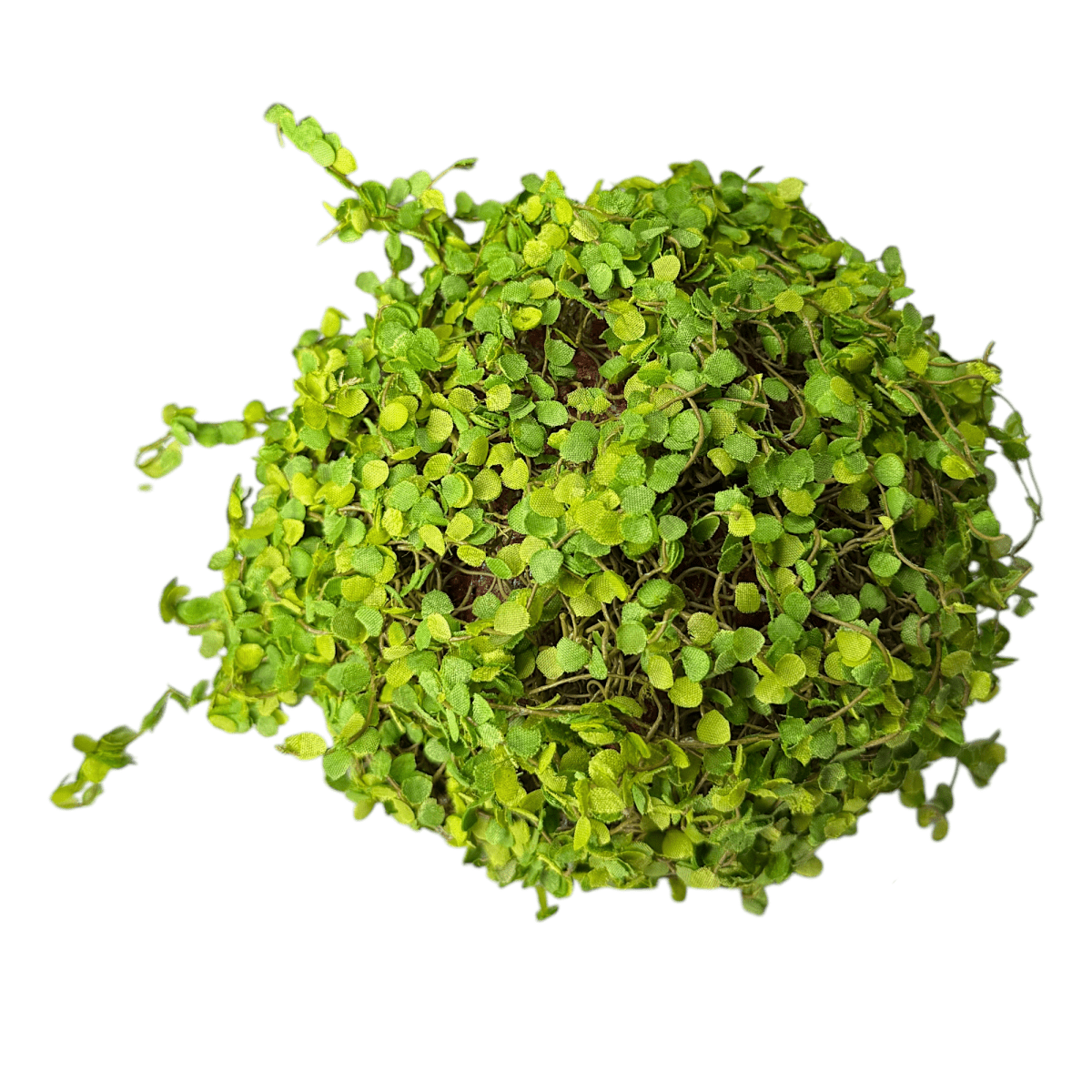 Green Moss Orb Decorative Accent - Napa Valley Wildflower Co.