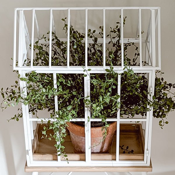 Greenhouse Inspired Outdoor Plant Stand - Napa Valley Wildflower Co.