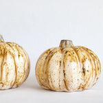 Handcrafted Ceramic Pumpkin - Napa Valley Wildflower Co.