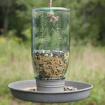 Hanging Glass Mason Jar Birdfeeder - Napa Valley Wildflower Co.