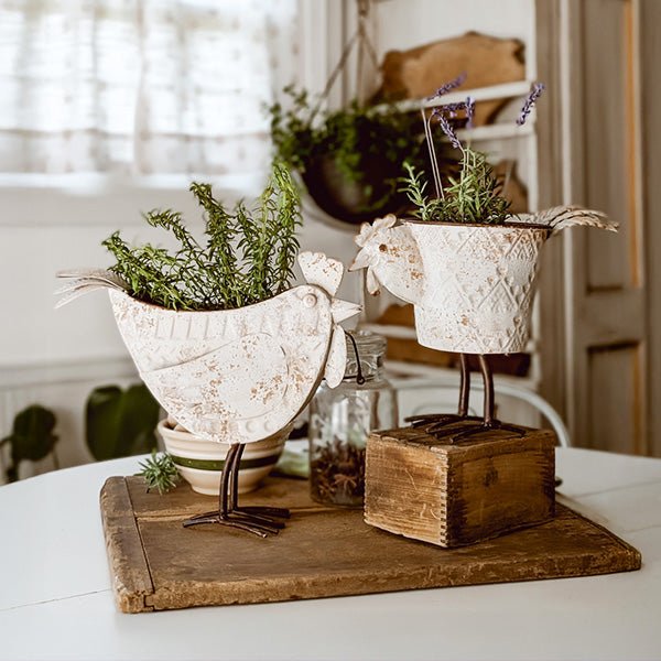 Indoor/Outdoor Distressed Hen Planter, Choose Your Style - Napa Valley Wildflower Co.