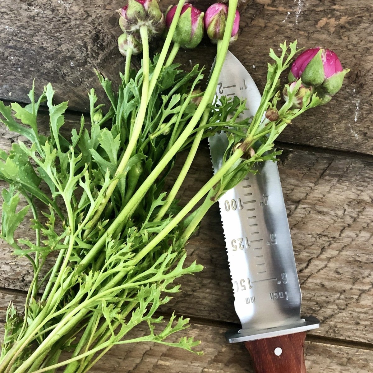 Katana Hori Hori Garden Tool | Engrave! - Napa Valley Wildflower Co.