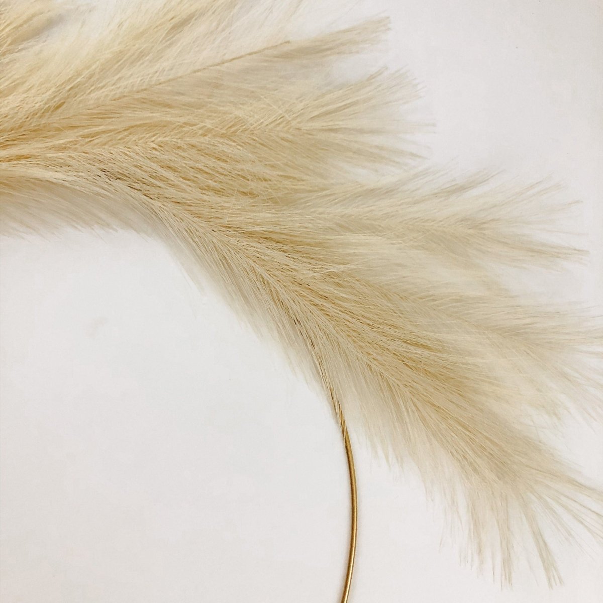 Modern Pampas Grass Hoop Wreath - Minimalist Front Door Decor - Napa Valley Wildflower Co.