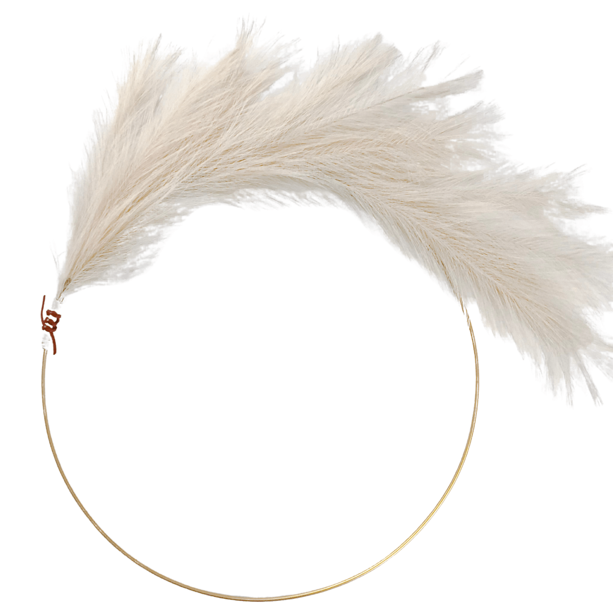 Modern Pampas Grass Hoop Wreath - Minimalist Front Door Decor - Napa Valley Wildflower Co.