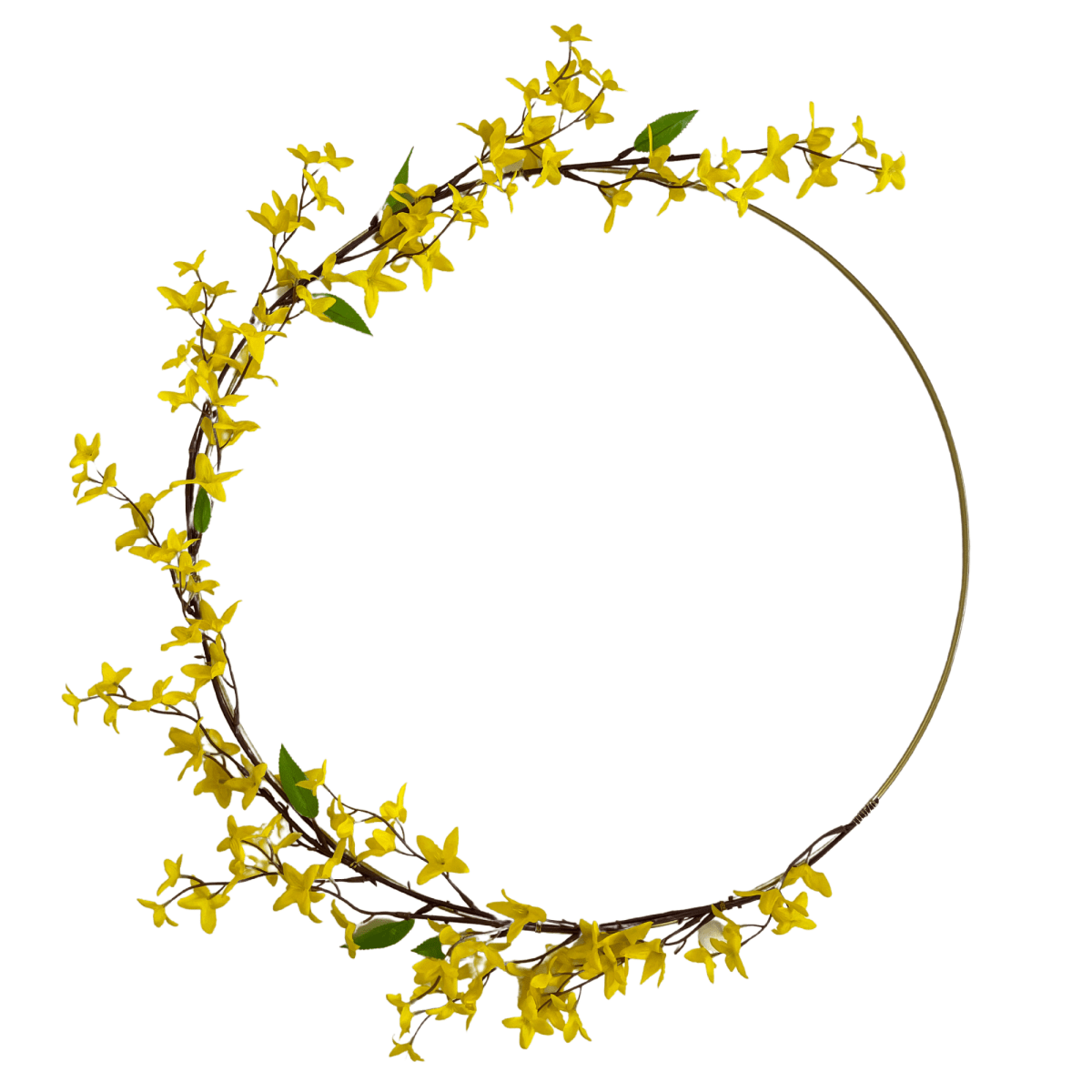 Modern Yellow Forsythia Hoop Wreath - Napa Valley Wildflower Co.