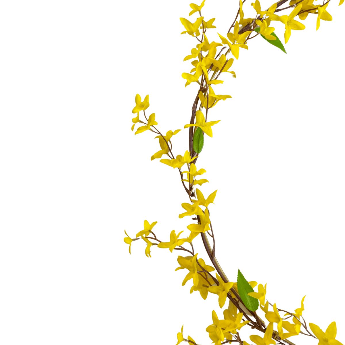 Modern Yellow Forsythia Hoop Wreath - Napa Valley Wildflower Co.