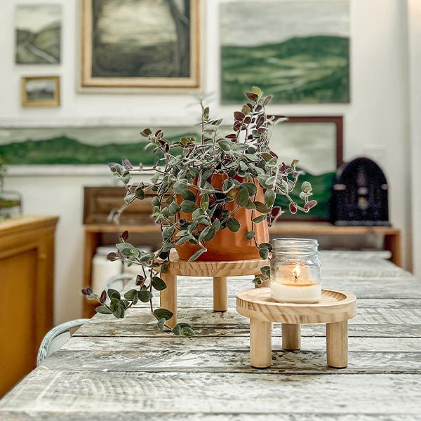 Pine Wood Risers, Set of Two - Napa Valley Wildflower Co.