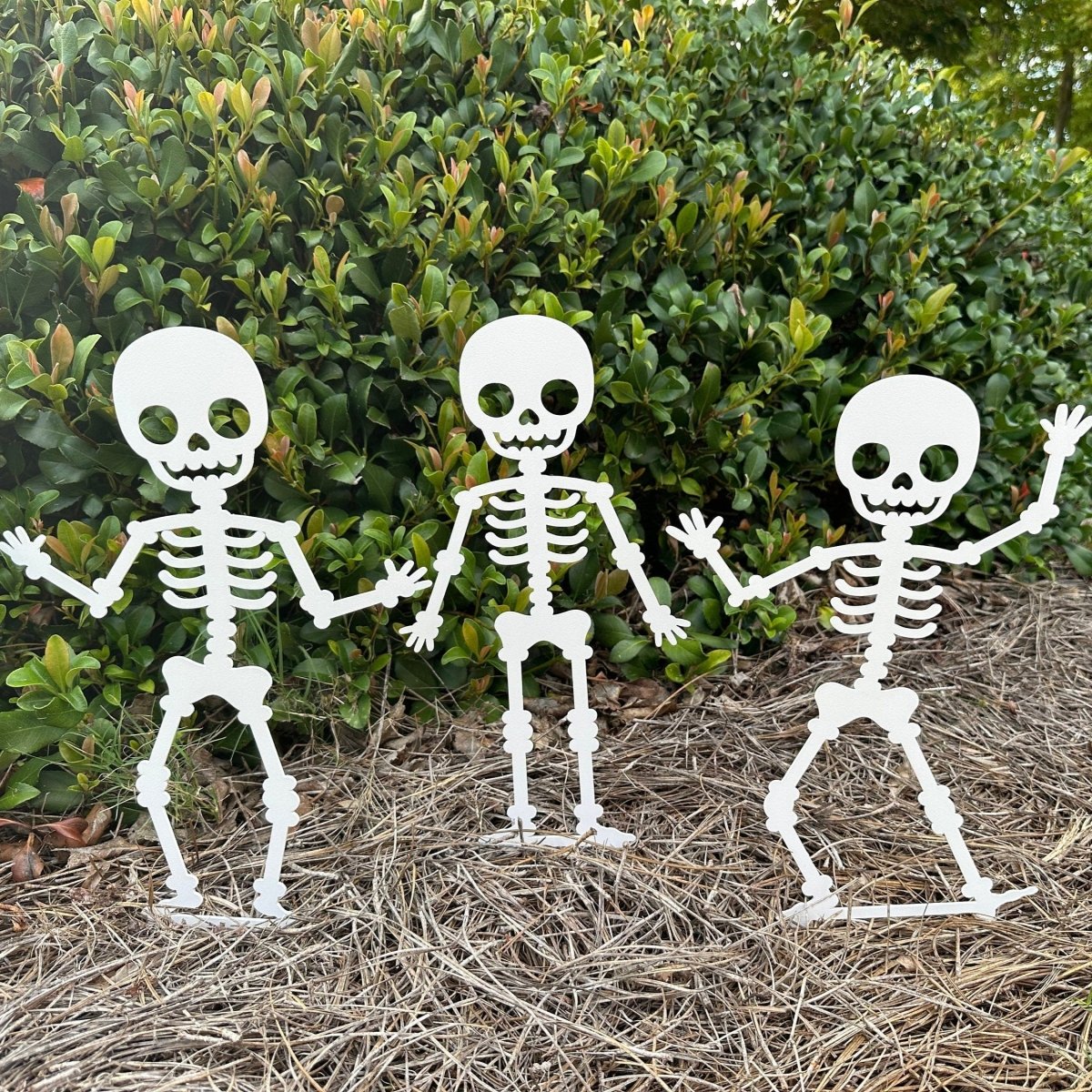 Skeleton Metal Yard Stakes Set - Napa Valley Wildflower Co.