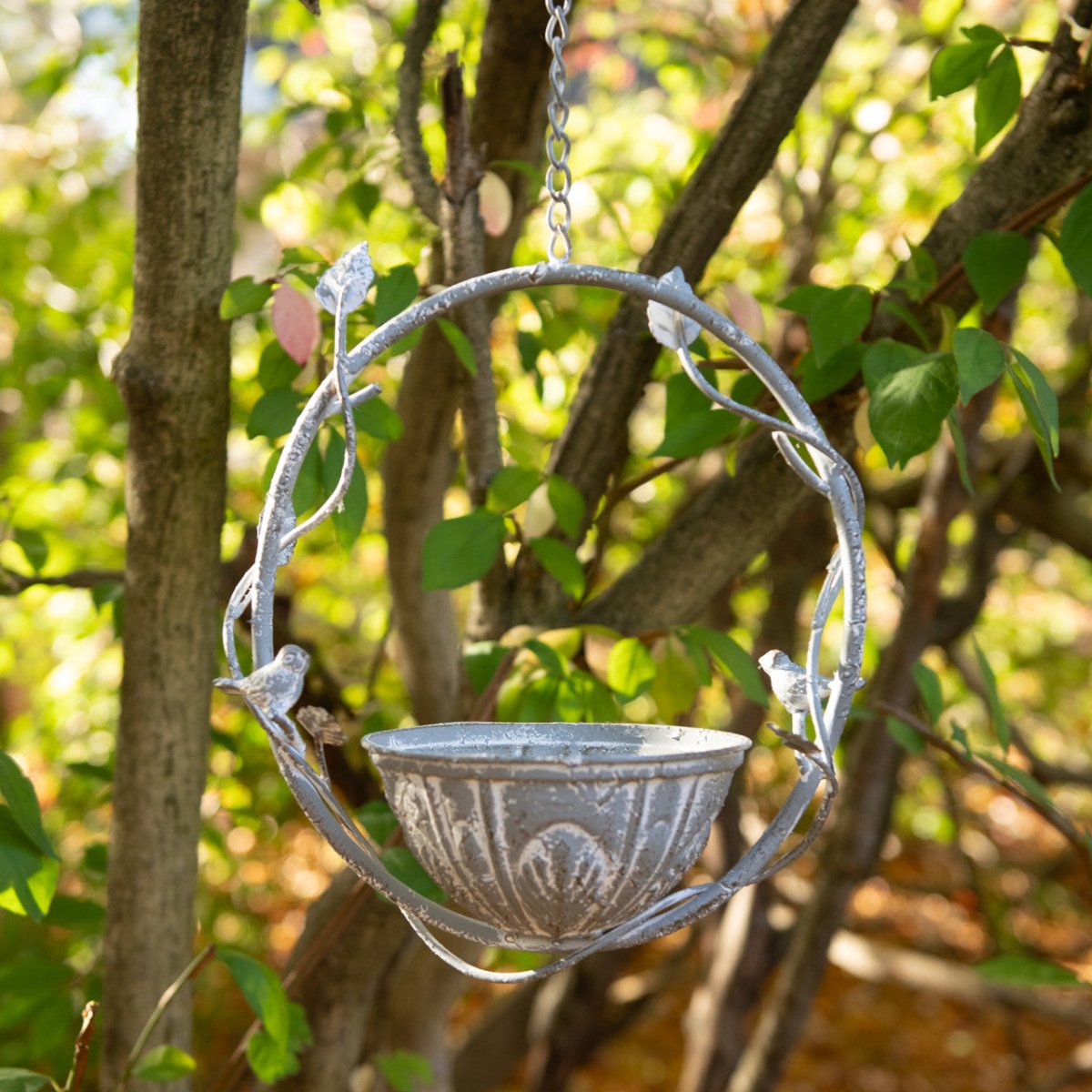 Vine Hanging Metal Bird Feeder with Bowl - Napa Valley Wildflower Co.