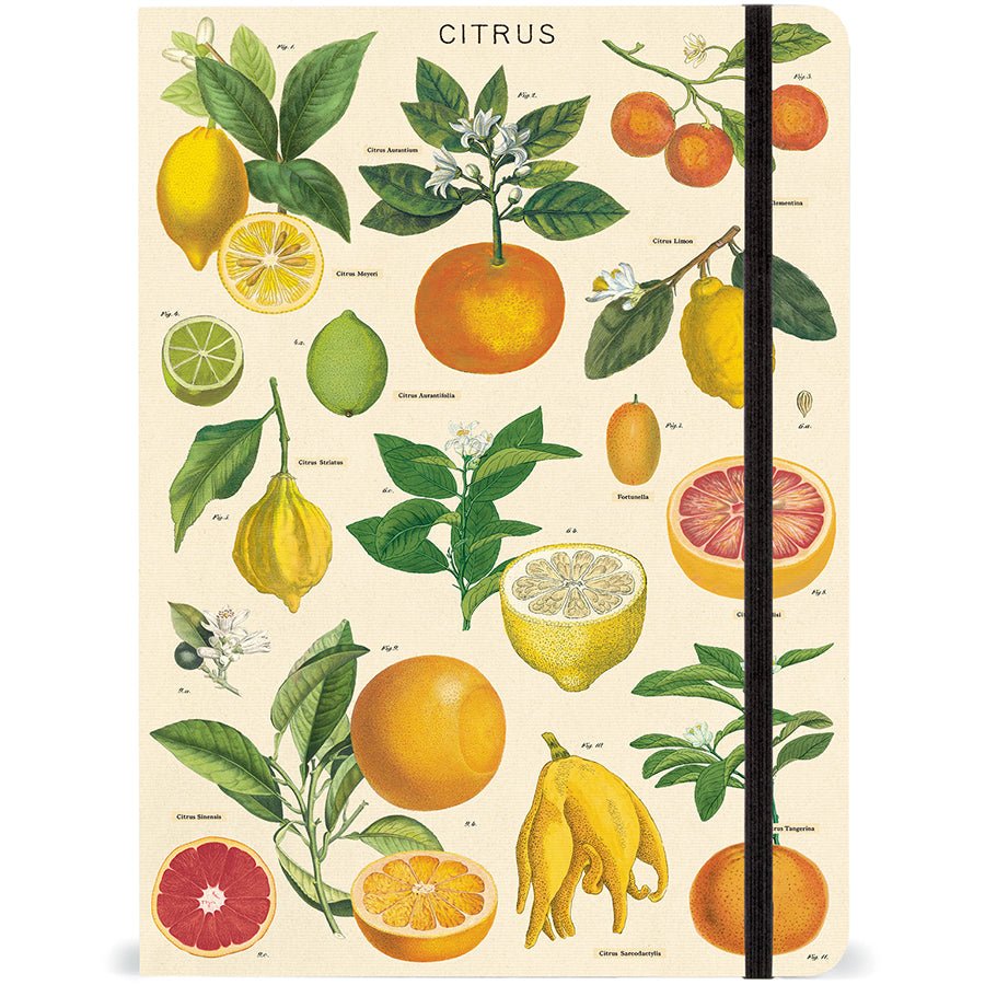 Vintage - Inspired Foraging Mushroom Notebook Journal with Elastic Closure - Napa Valley Wildflower Co.