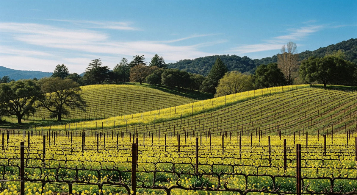 Cover Crop Seed Blends - Napa Valley Wildflower Co.