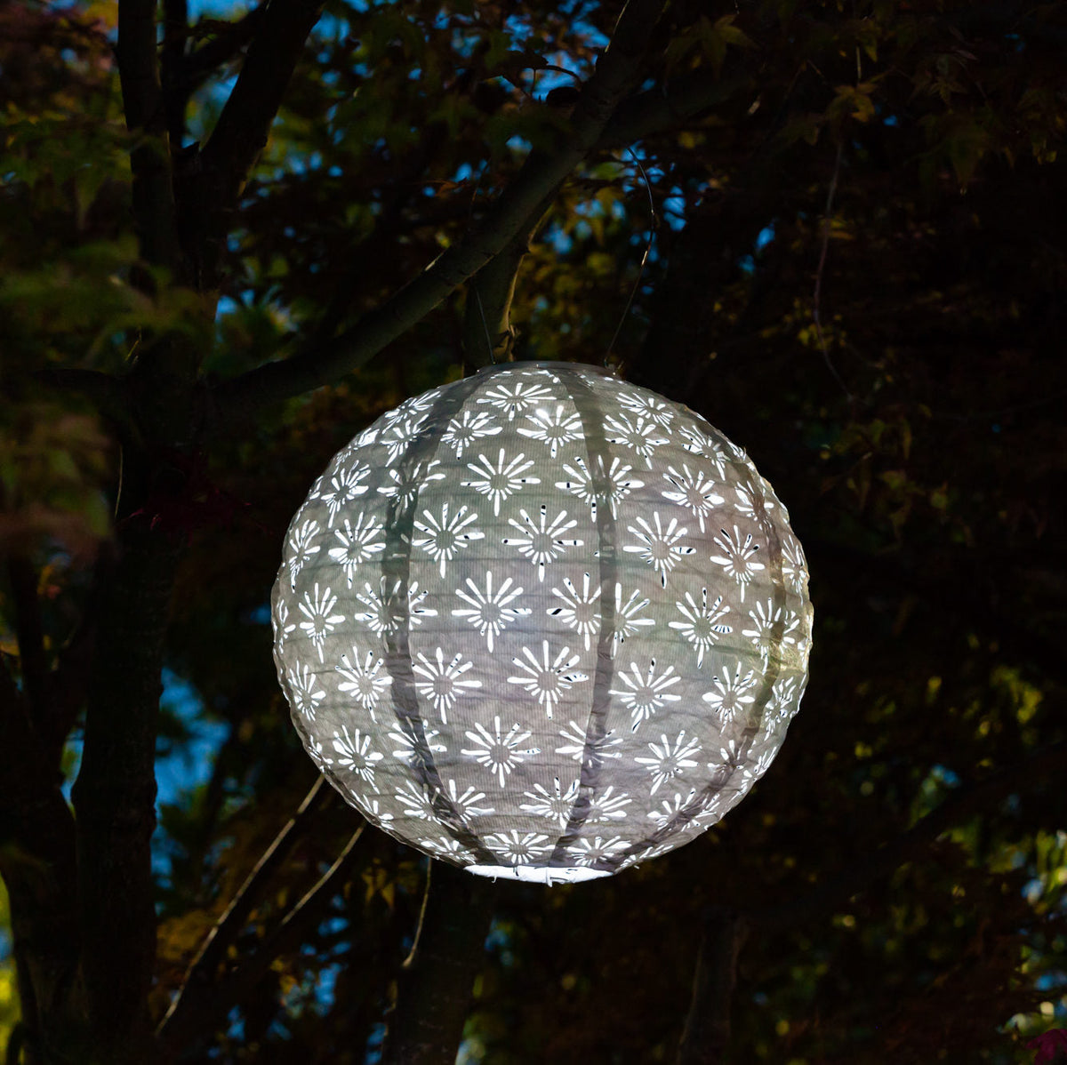 Decorative spherical light hanging in a tree at night