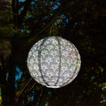 Decorative spherical light hanging in a tree at night