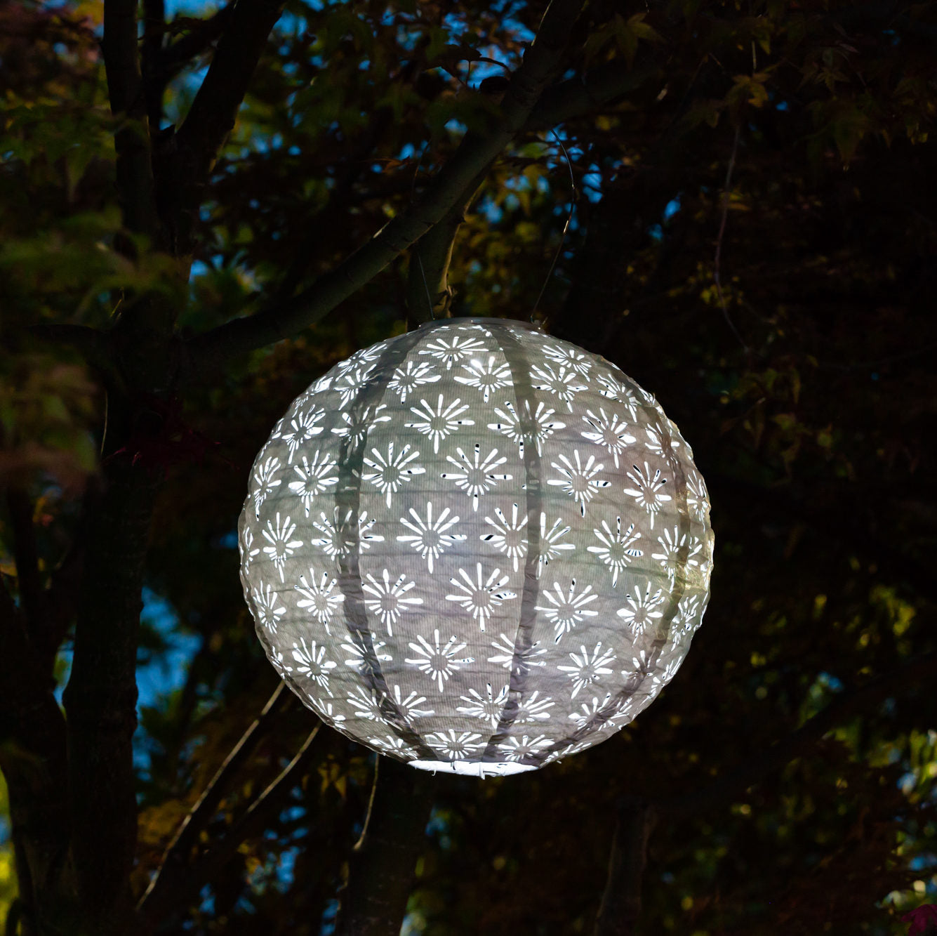 Decorative spherical light hanging in a tree at night