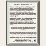 A text-based product information card for The Napa Wildflower Co. featuring the Butterfly Garden Wildflower Seed Blend, with descriptive paragraphs about plant care, pollinators, and planting instructions on a cream background.