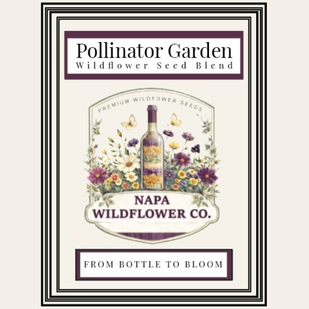 A square product label or box front for Pollinator Garden Wildflower Seed Blend by Napa Wildflower Co., featuring a cream background with a double black border, floral and butterfly artwork around a central bottle illustration, and the text 'FROM BOTTLE TO BLOOM'.