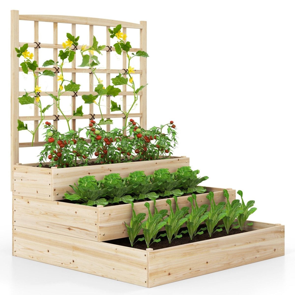 3 - Tier Raised Garden Bed with Lattice Trellis – Stackable Wooden Planter (Natural) - Napa Valley Wildflower Co.
