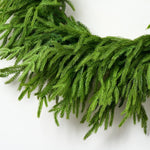 30'' Real Touch Norfolk Pine Christmas Wreath - Napa Valley Wildflower Co.