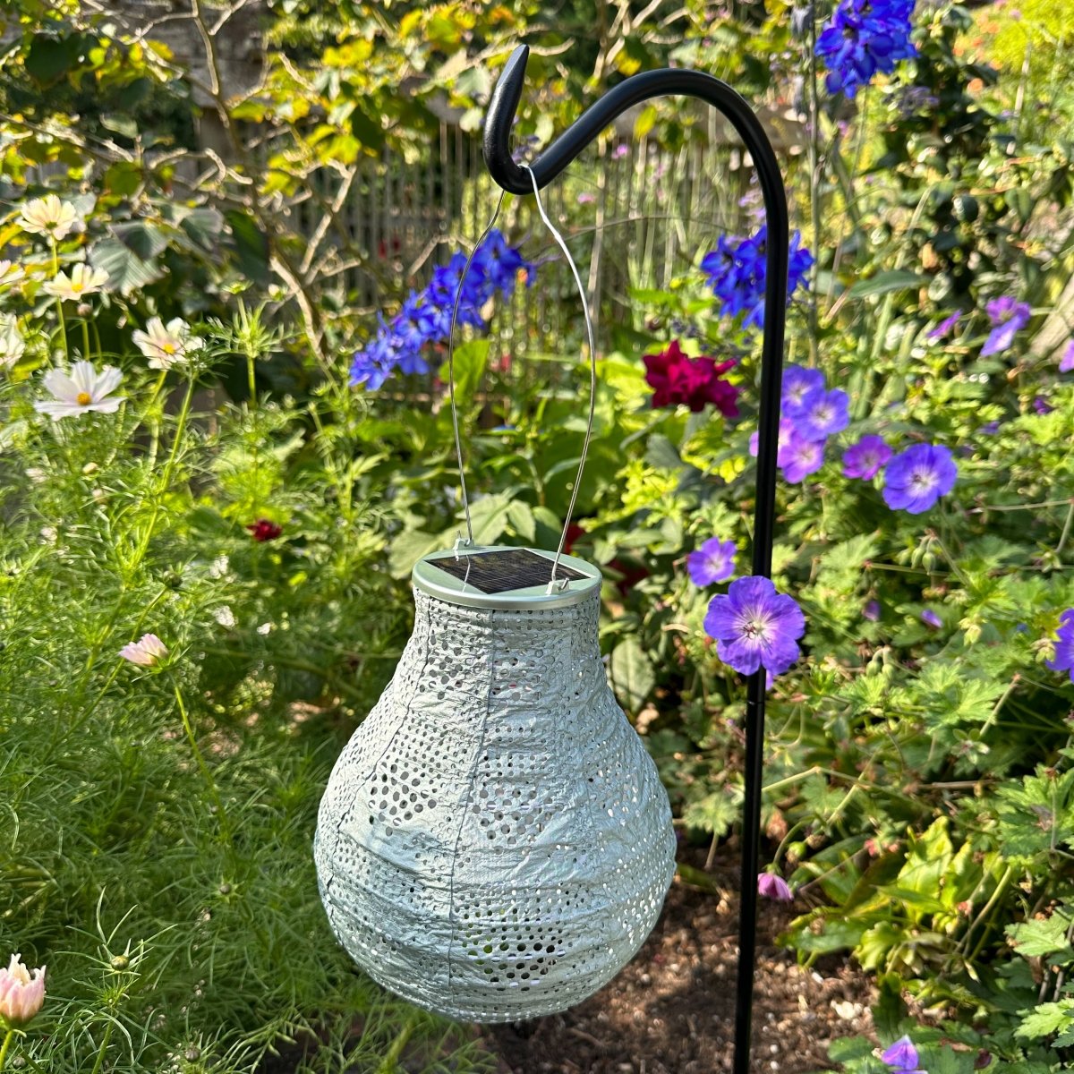36" Steel Shepherd’s Hook for Solar Lanterns & Garden Decor - Napa Valley Wildflower Co.