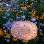 36" Steel Shepherd’s Hook for Solar Lanterns & Garden Decor - Napa Valley Wildflower Co.