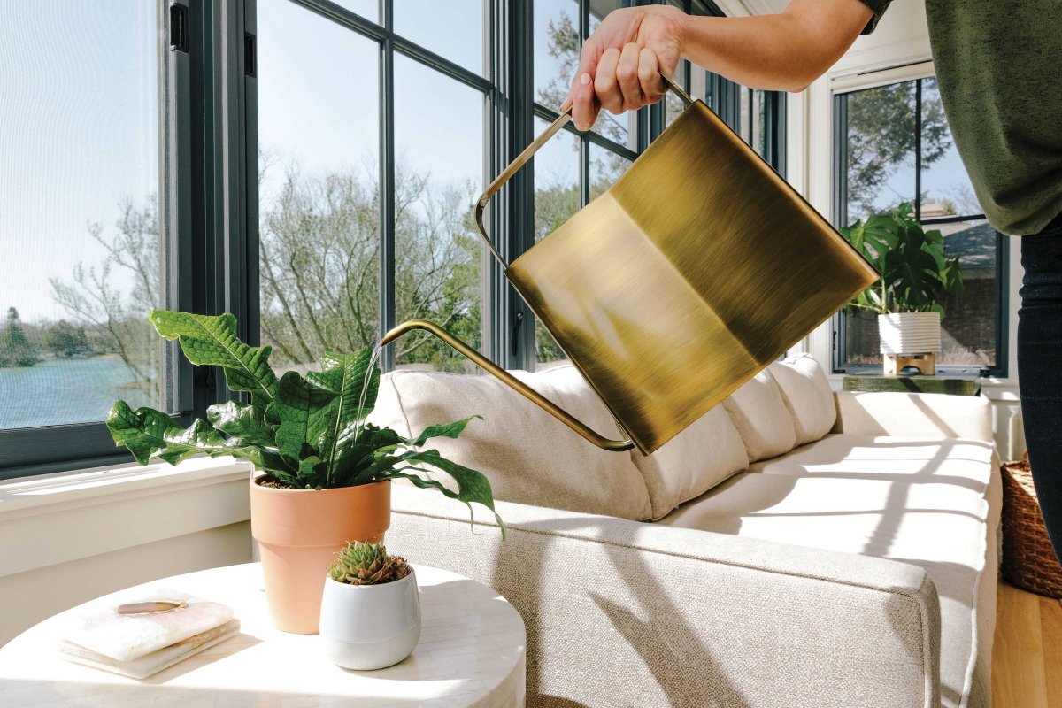 3L Brass & Matte Black Watering Can - Napa Valley Wildflower Co.