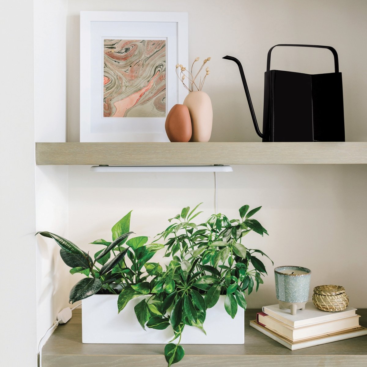 3L Brass & Matte Black Watering Can - Napa Valley Wildflower Co.
