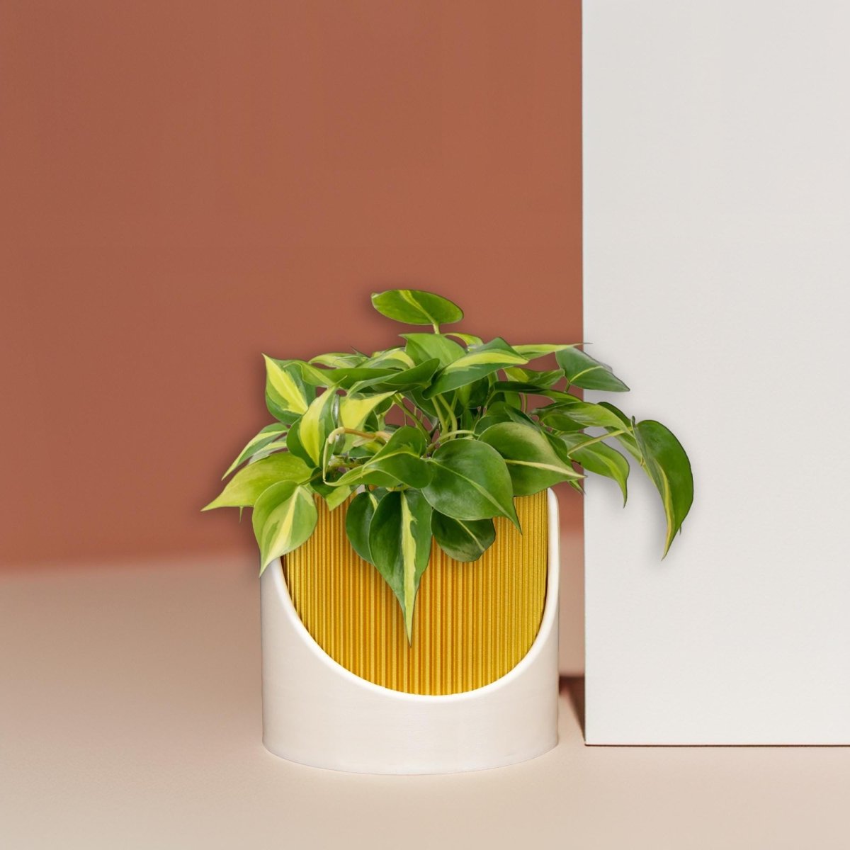 4 - Inch Ribbed Self - Watering Planter: Innovation in Every Drop - Napa Valley Wildflower Co.