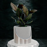 4 - Inch Ribbed Self - Watering Planter: Innovation in Every Drop - Napa Valley Wildflower Co.