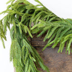 60'' Lush Natural Touch Norfolk Pine Garland - A Christmas Masterpiece - Napa Valley Wildflower Co.