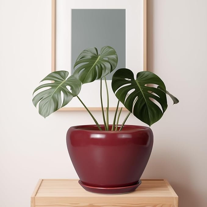 Potted plant in a red pot on a wooden surface with a framed picture in the background.