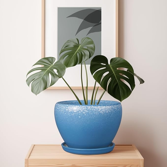 Blue pot with a green plant on a wooden surface against a white wall with a framed picture.