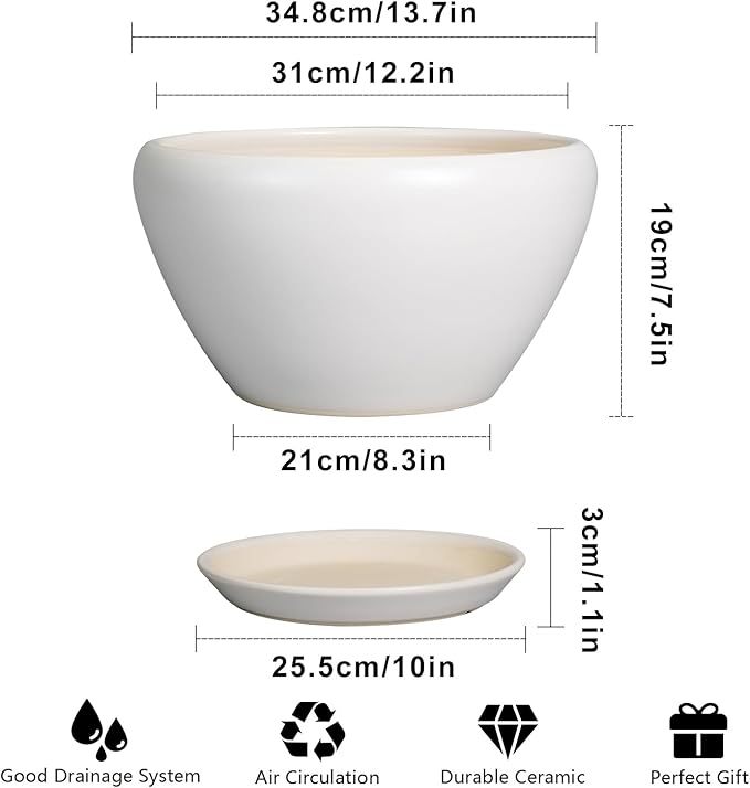 White ceramic planter with dimensions and features listed on a white background