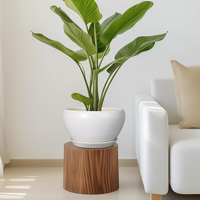 Potted plant on a wooden stool in a living room setting with a white sofa.