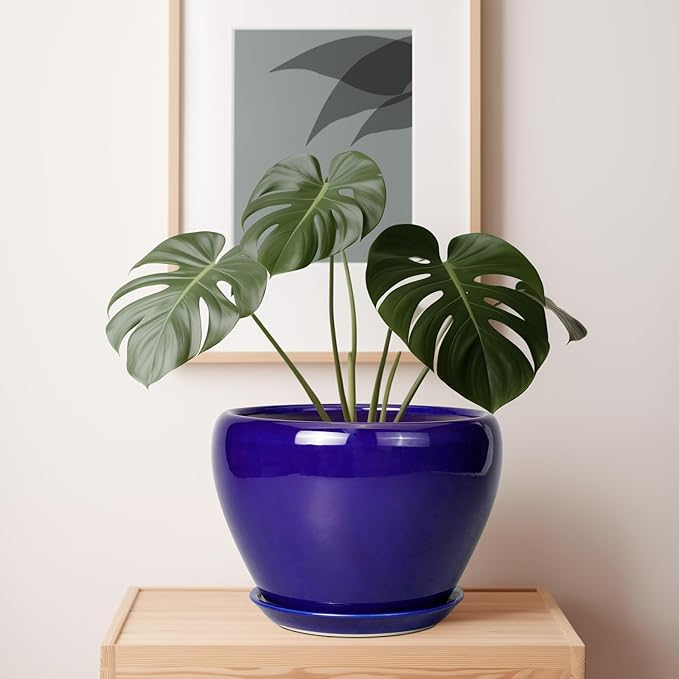 Blue pot with a green plant on a wooden surface against a white wall with a framed picture.